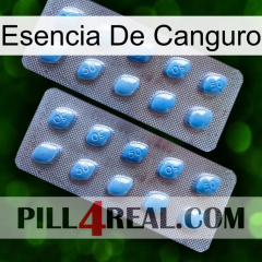 Kangaroo Essence viagra4